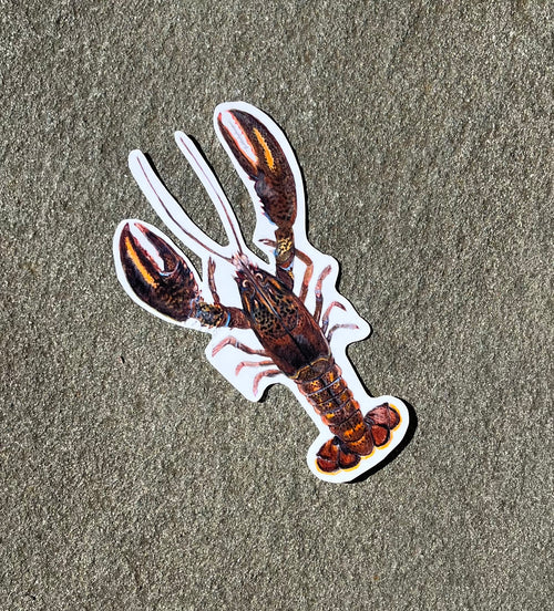 4" Waterproof Sticker